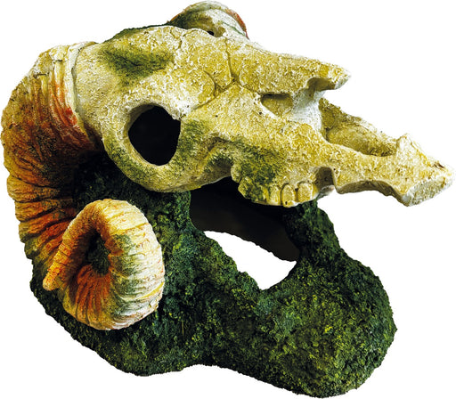 Repto Deco Geiten Schedel