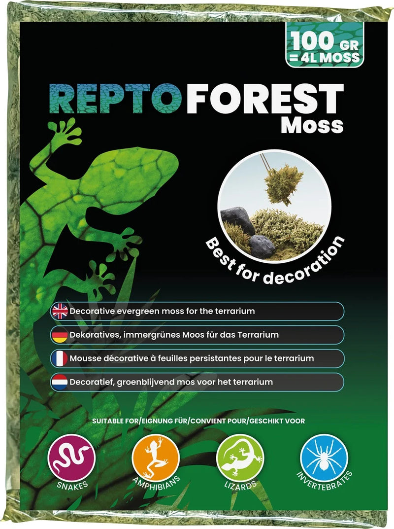 Repto Forest Moss - Terrarium - Paludarium