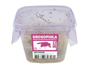 Repto Fruitvliegen S - Drosophila