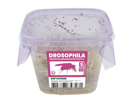 Repto Fruitvliegen S - Drosophila