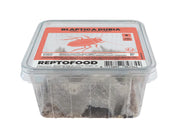 Repto Kakkerlakken S - Blaptica Dubia