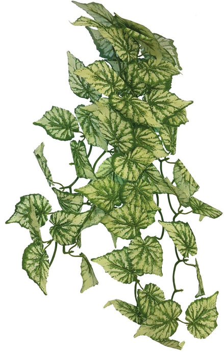 Repto Plant Hanging Hedra 65 cm