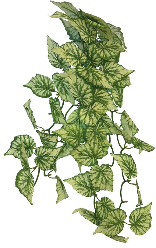 Repto Plant Hanging Hedra 65 cm