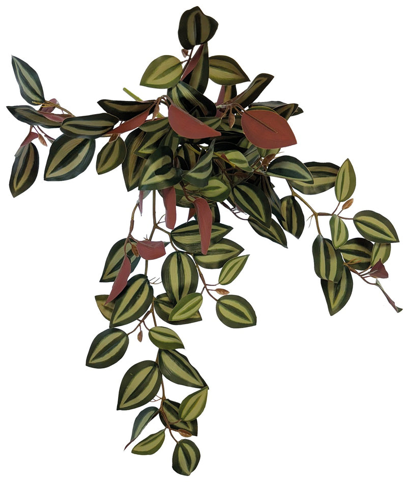 Repto Plant Hanging Red Back 46 cm