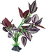 Repto Plant Standing Purple Leaves