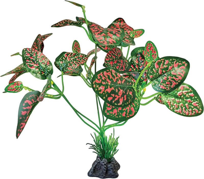Repto Plant Standing Red Green