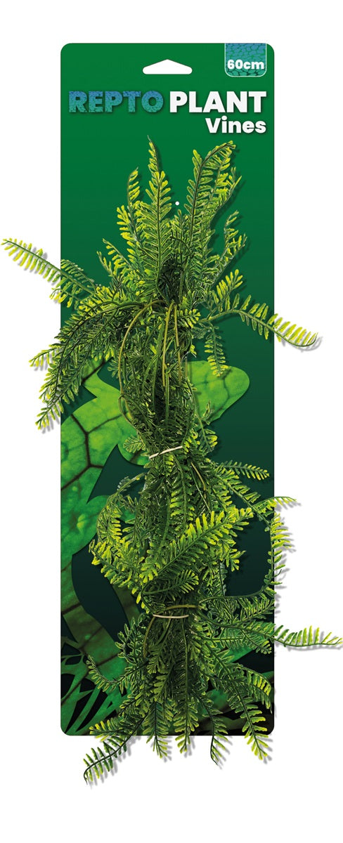 Repto Plant Vines Green Asparagus 60 cm