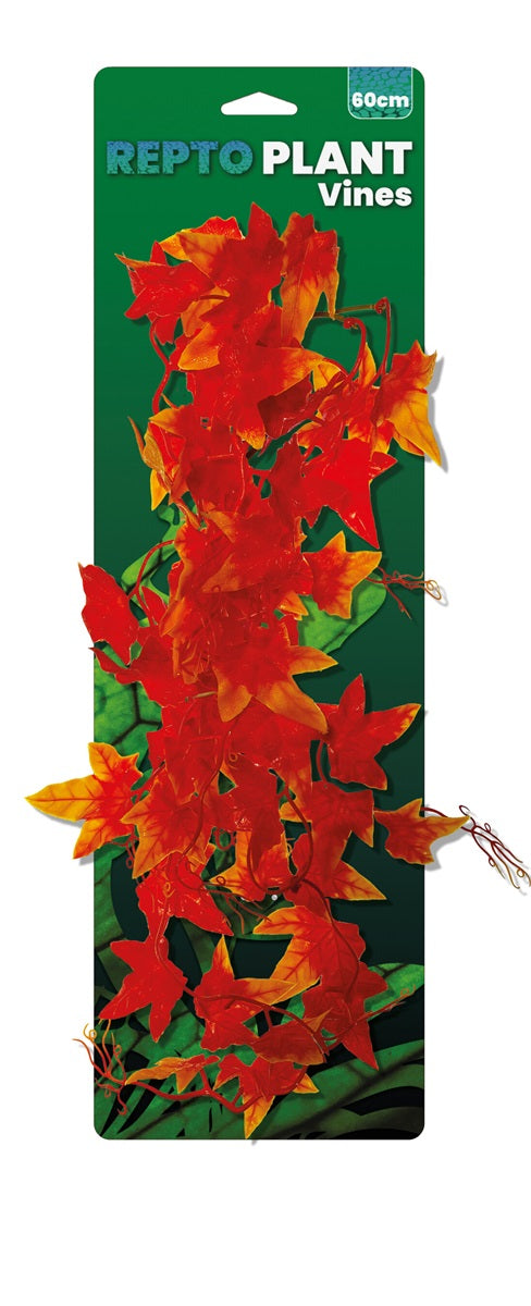 Repto Plant Vines Orange Hedera 60 cm