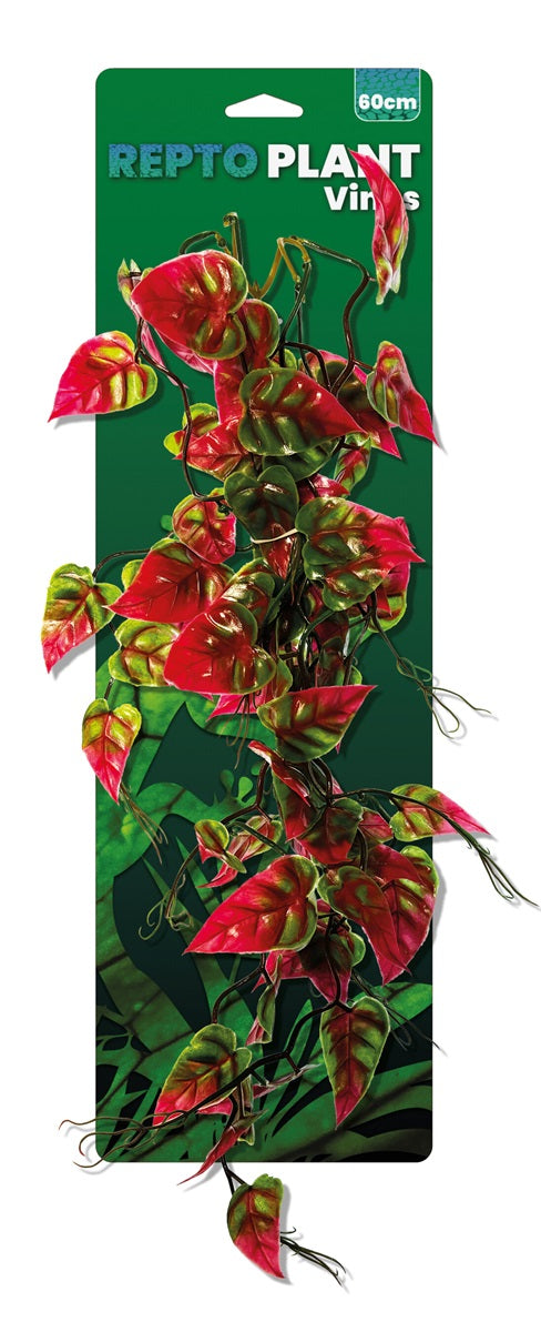 Repto Plant Vines Pink & Green Synogonium 60 cm