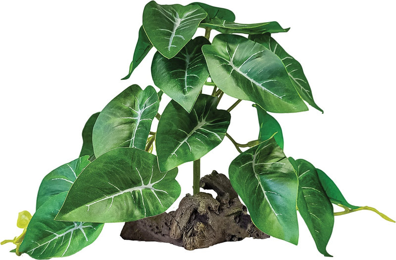 Repto Plant in Deco Elephant Green