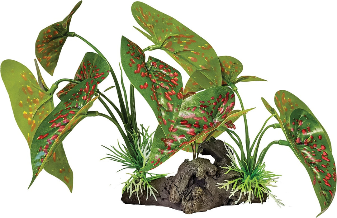 Repto Plant in Deco Elephant Red