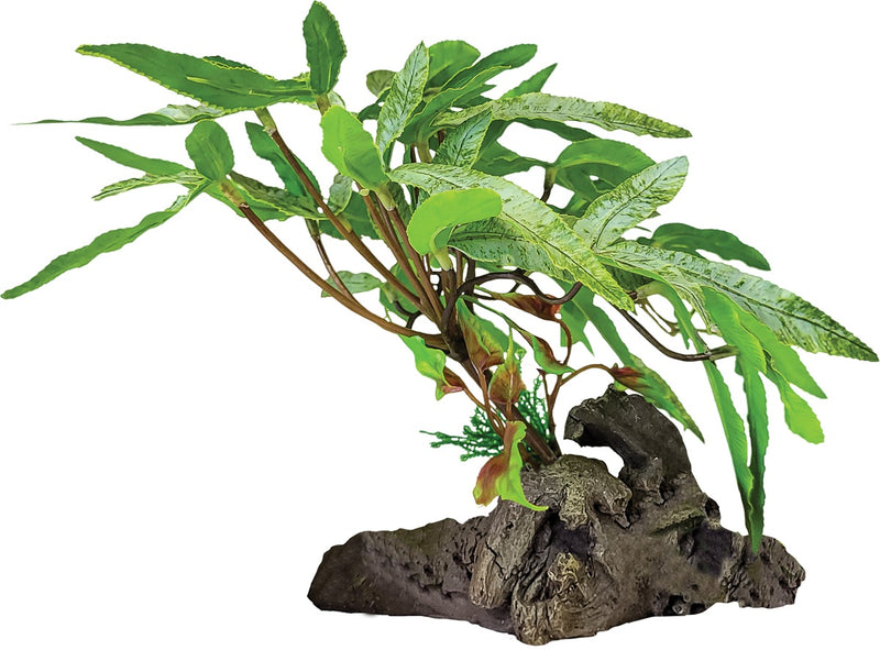 Repto Plant in Deco Three Tip Leaf