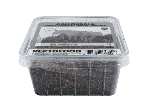 Repto Springstaartjes - Collembola