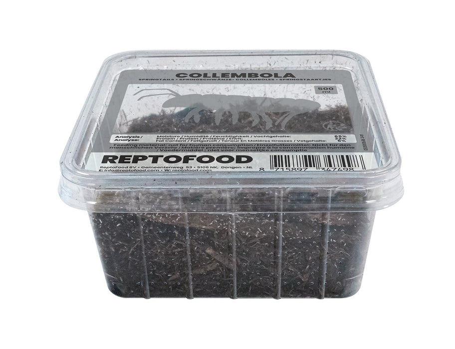 Repto Springstaartjes - Collembola