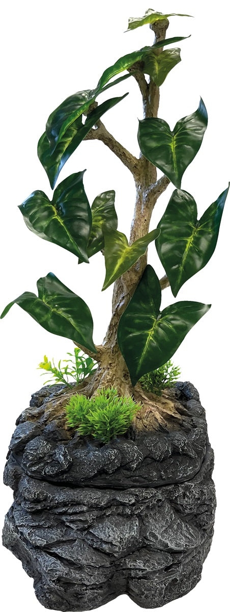 Repto Water Dripping Tree