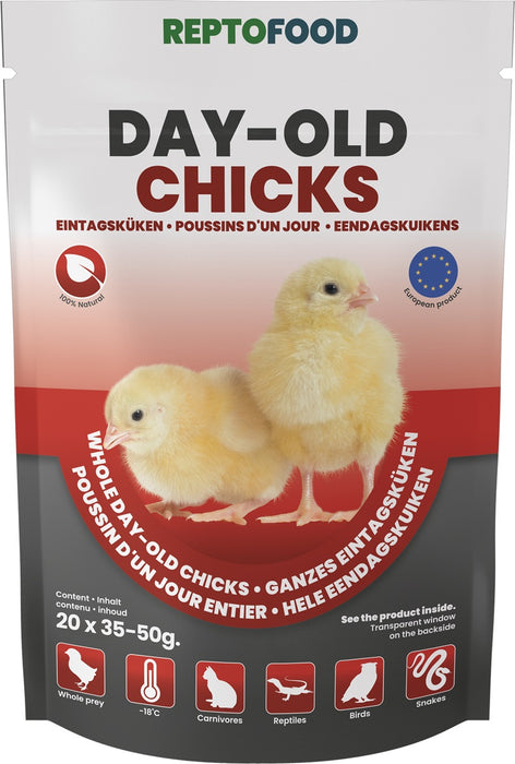 Reptofood  Eendagskuikens - Reptielenvoeding