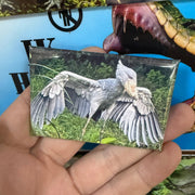 Schoenbekooievaar – Wildlife Explorer Collectible preview