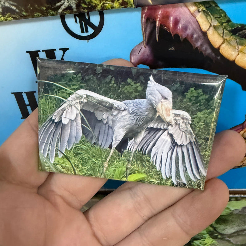 Schoenbekooievaar magneet – Afrikaanse Wildlifepreview