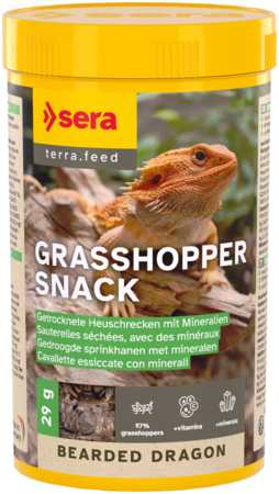 Sera Bearded Dragon Grasshopper Snack