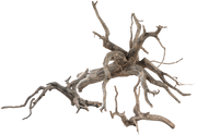 Sera Scaper Root