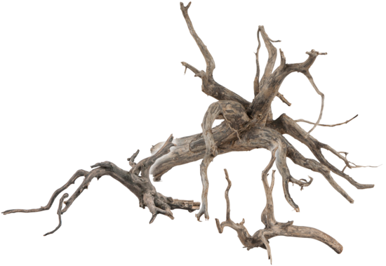 Sera Scaper Root