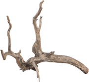Sera Scaper Root 1