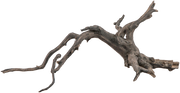 Sera Scaper Root 2