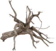 Sera Scaper Root 3