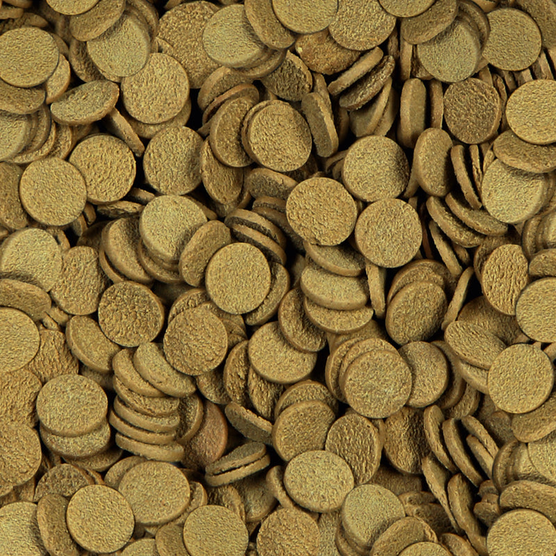 Sera Axolotl Wafers
