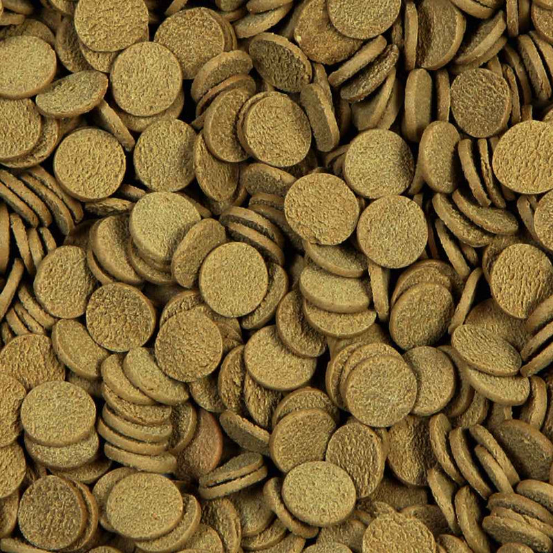 Sera Sterlet Chips
