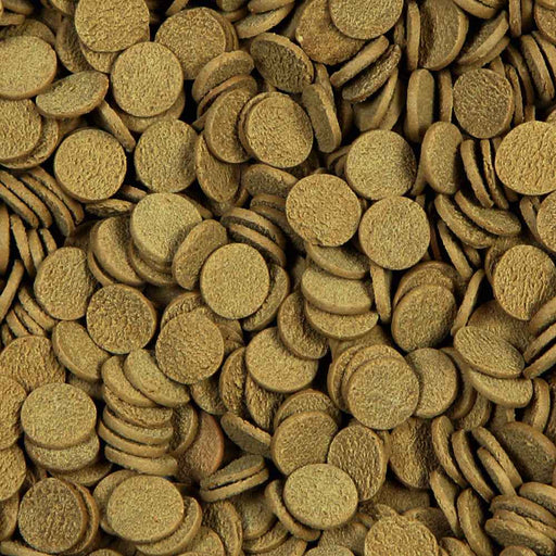 Sera Sterlet Chips