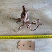 Spiderwood XSmall 4