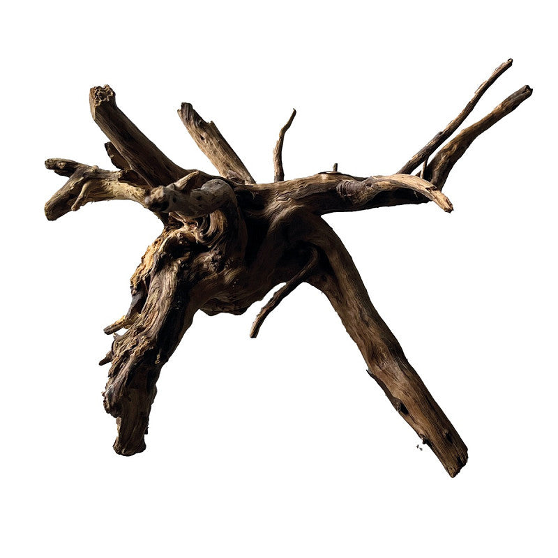 SuperFish Black Spiderwood
