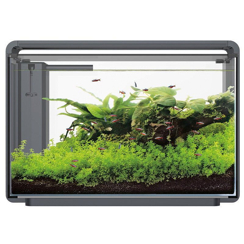 SuperFish Home Proled 65 Aquarium Zwart