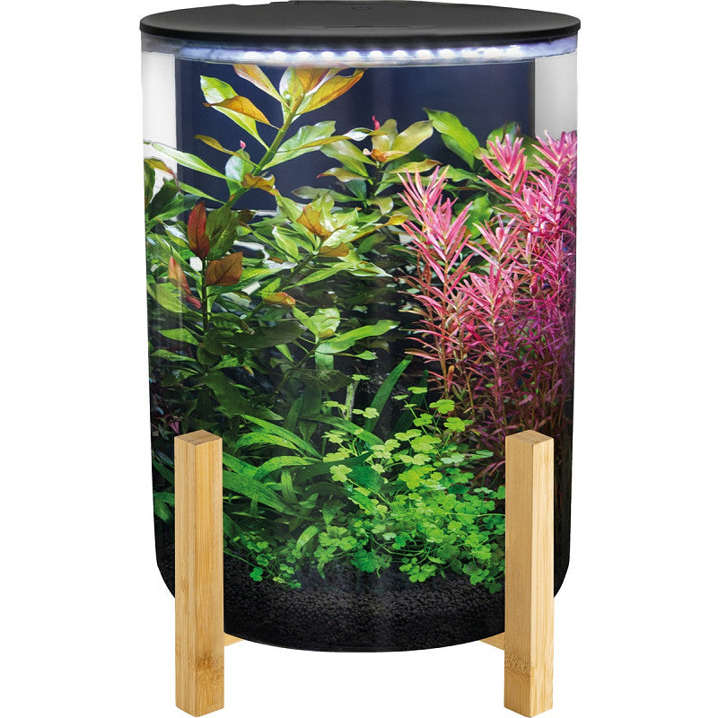SuperFish Orbiq 11 Zwart