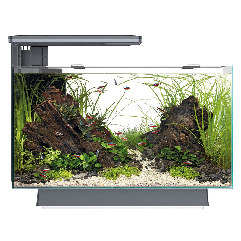 SuperFish Quadro 40 multi Colour Zwart