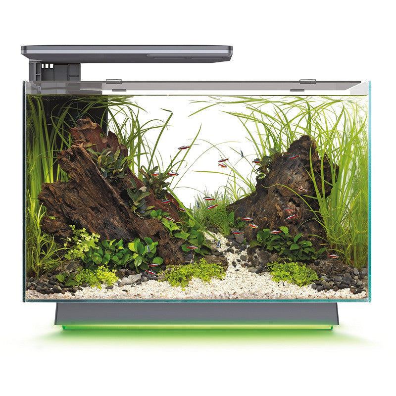 SuperFish Quadro 70 multi Colour Zwart