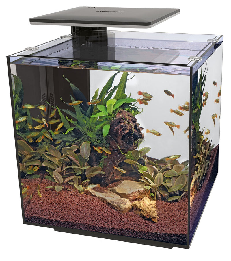 SuperFish Qubiq 60 Pro Zwart