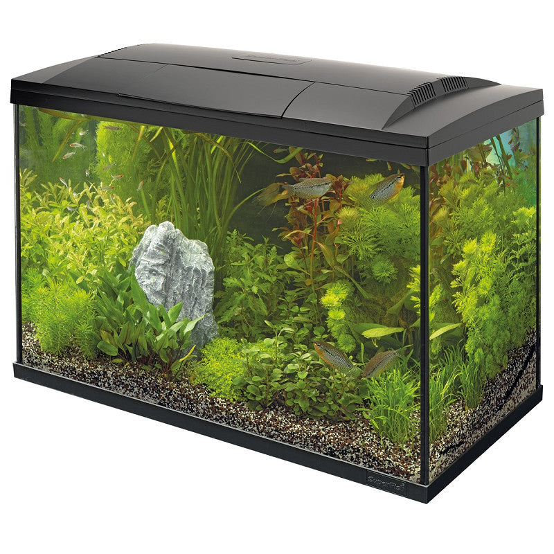 SuperFish Start 150 Tropical Kit Zwart — Aquariumplantenshop