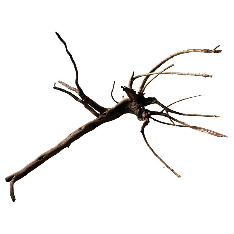 SuperFish Black Spiderwood