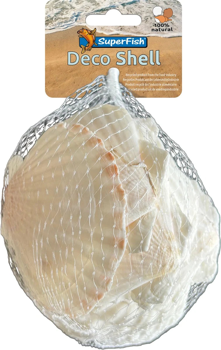 SuperFish Deco Schelp Coquille Wit