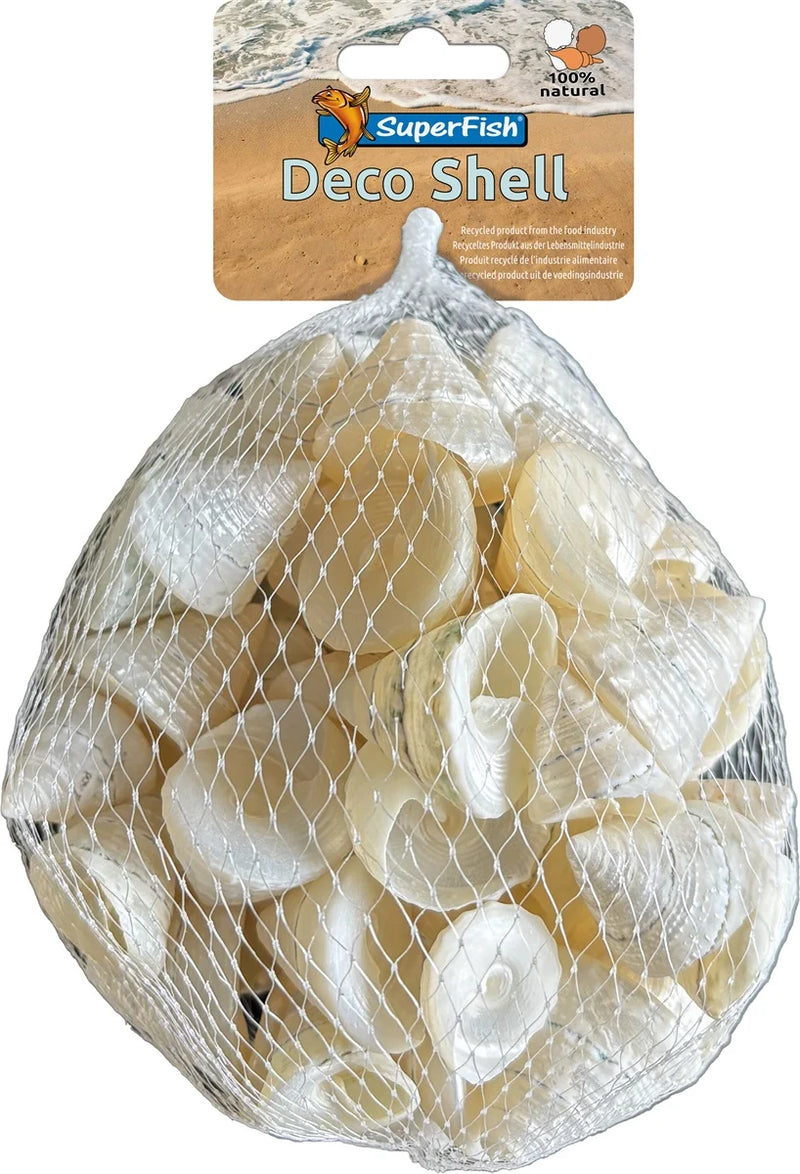SuperFish Deco Schelp Spiraal Wit