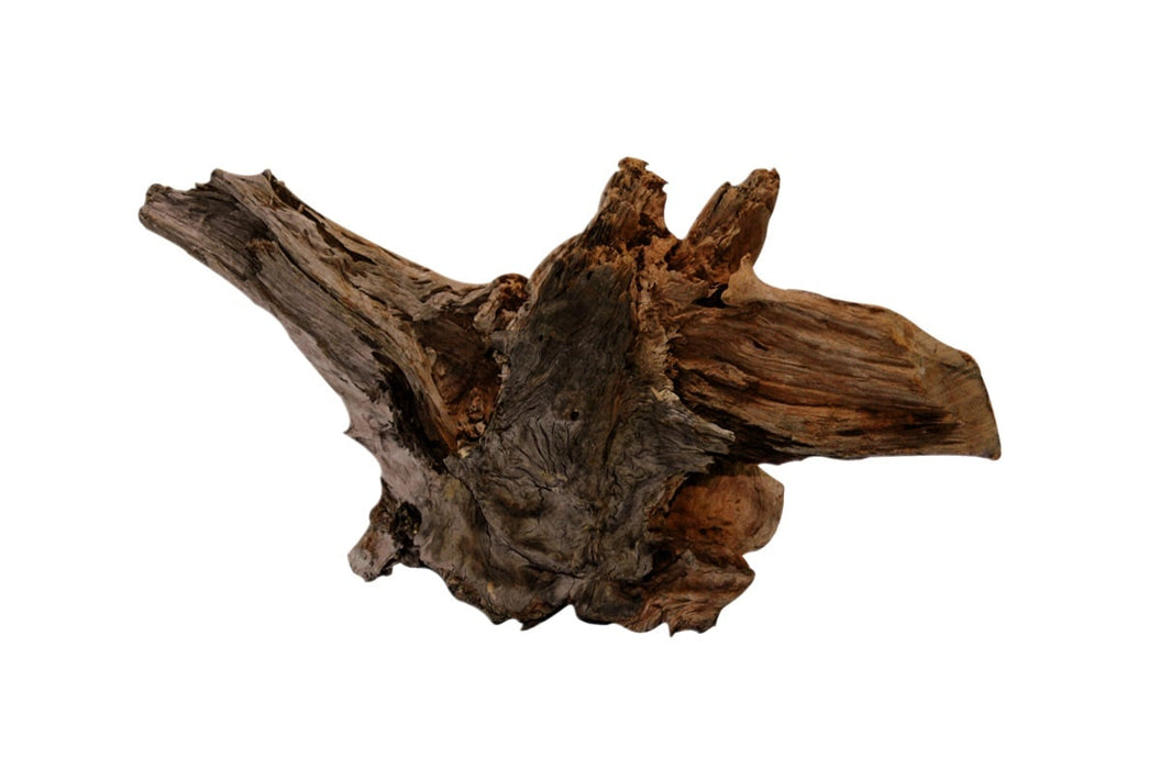 SuperFish Driftwood