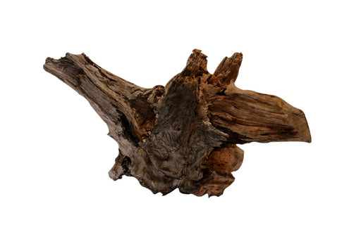 SuperFish Driftwood