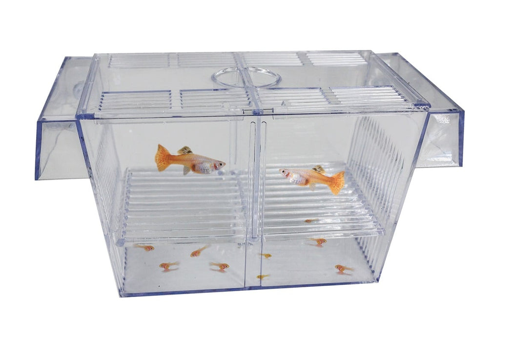 SuperFish Floating Breeding Box