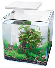 SuperFish Qubiq 30 Pro Wit