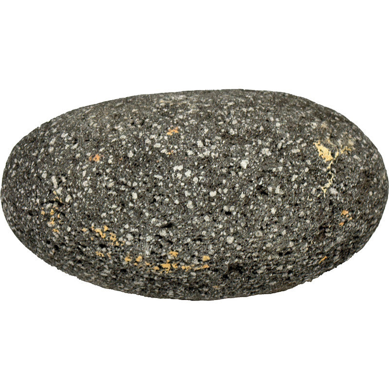 SuperFish Rock Black Stars