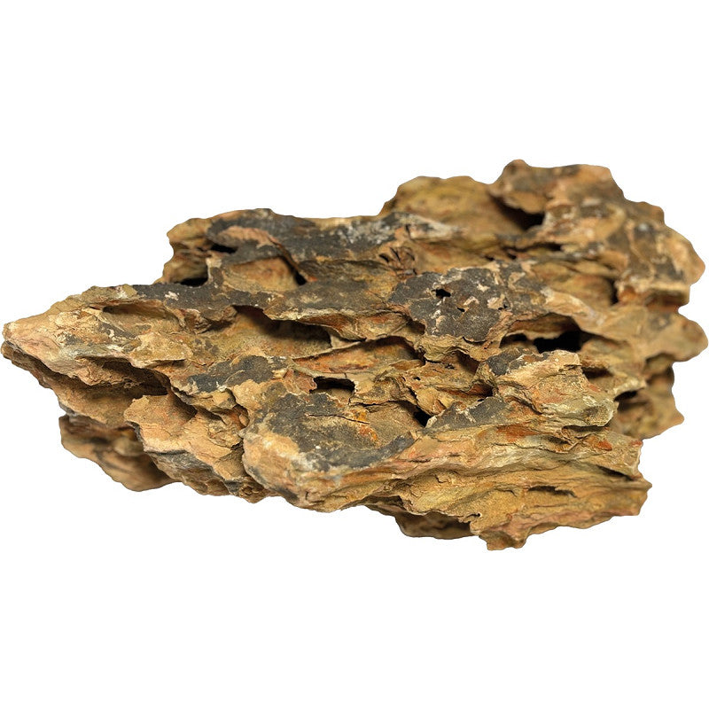 SuperFish Rock Dragon Stone