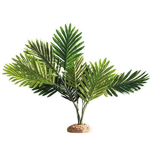 Terrano Palm