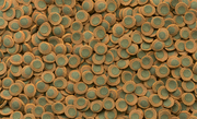 Tetra Pleco Spirulina Wafers - Vissenvoer